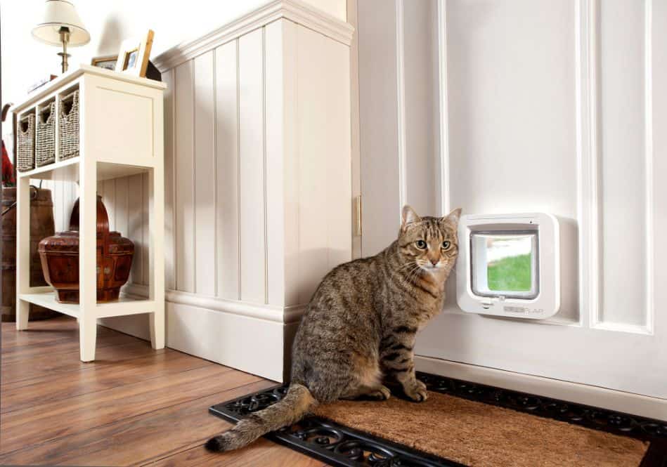 SureFlap